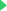 運動(dòng)木地板